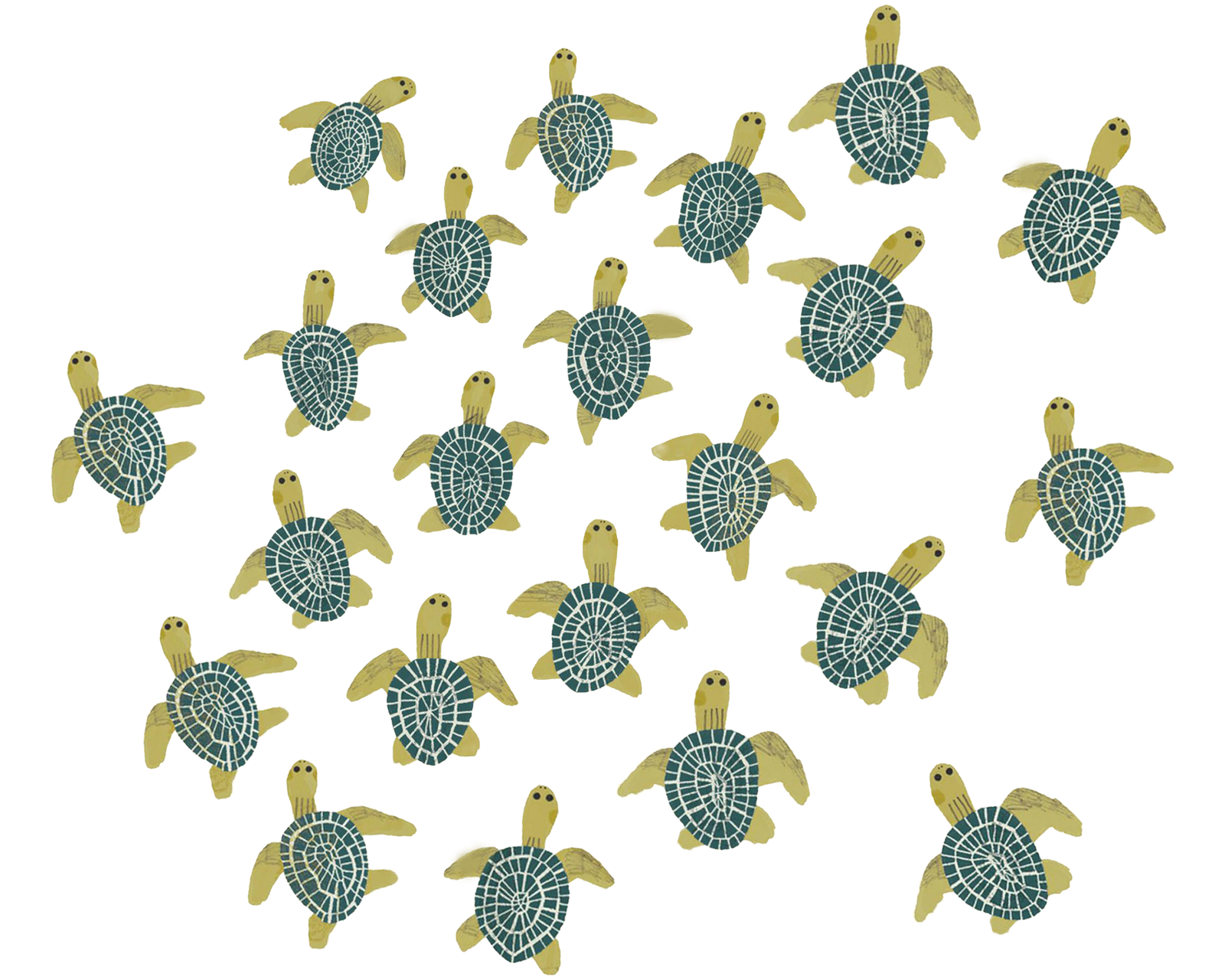 Our Logo turtle background